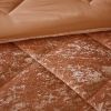 4 Pcs Velvet Comforter Set with Throw Pillow(Twin/Twin XL)
