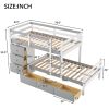 Twin over Twin Loft Bunk Bed with Drawers and Ladder, Gray