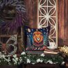 Lion Christmas Throw Pillow Machine Washable, Indoor Outdoor Decorative Pillow for Couch, Bed or Patio, 14Hx14W